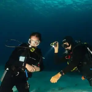 Discover Scuba 2 Tank Boat Dive - Image 3