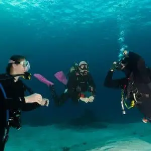 Scuba Refresher Course - Image 2