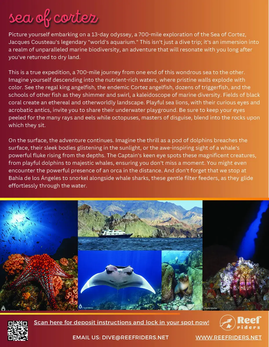 ReefRiders_Baja2029_Page_05