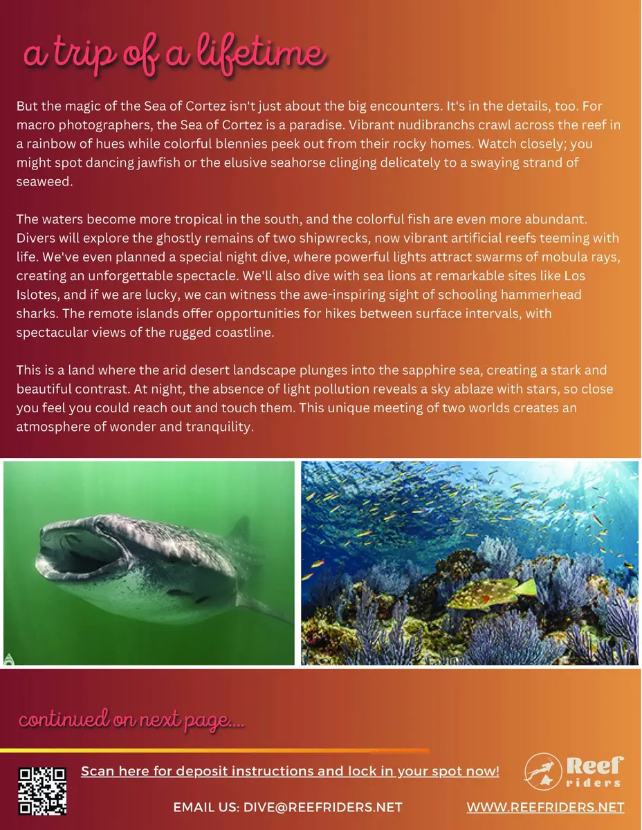 ReefRiders_Baja2029_Page_06