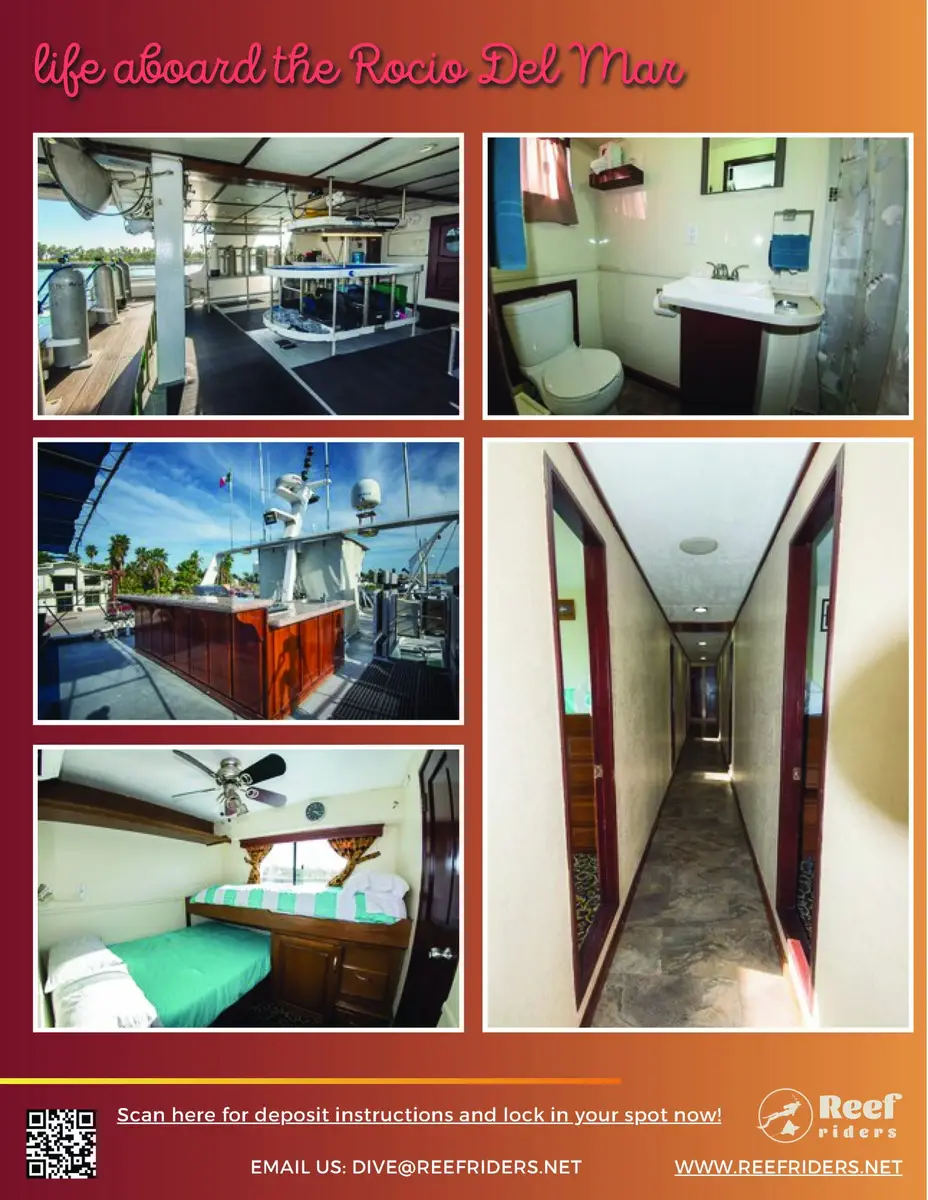 ReefRiders_Baja2029_Page_11