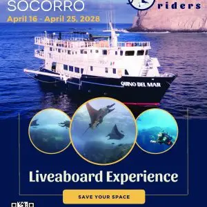 Explore Baja 2029 Liveaboard Deposit
